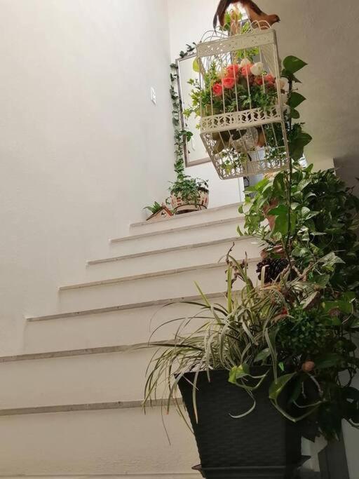 Casa Adhita, Tu Confort Es Nuestra Prioridad. Yautepec Extérieur photo